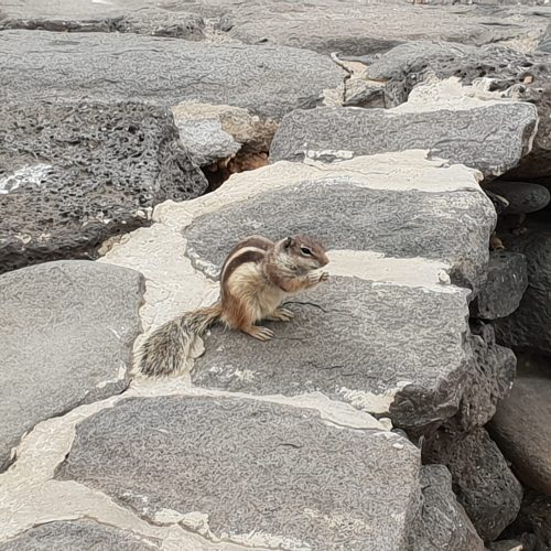 Museo de las Salinas