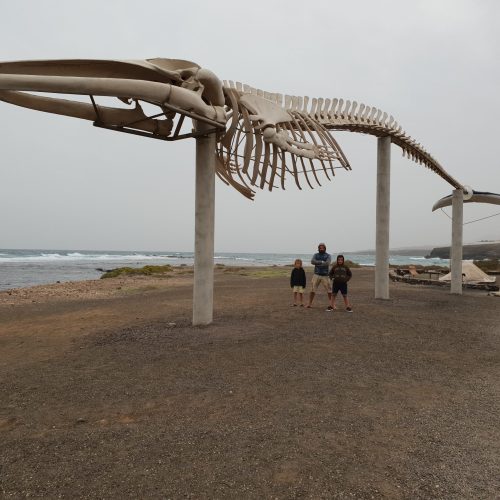 Museo de las Salinas