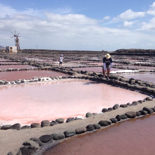 Salinas de Pozo Izquierdo