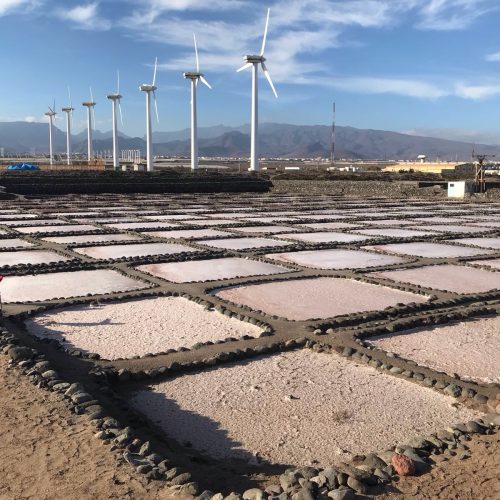 Salinas de Pozo Izquierdo