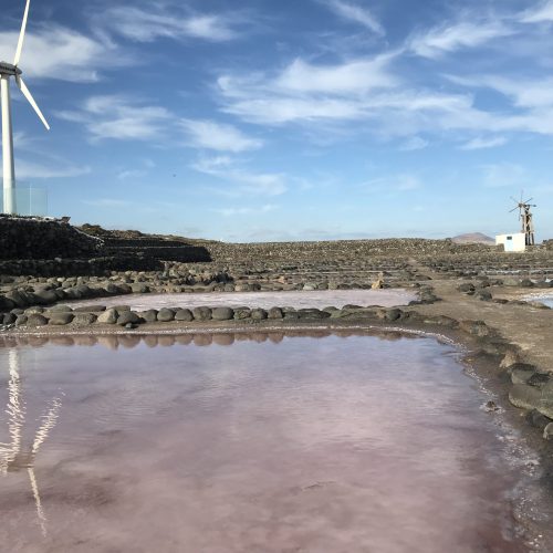 Salinas de Pozo Izquierdo